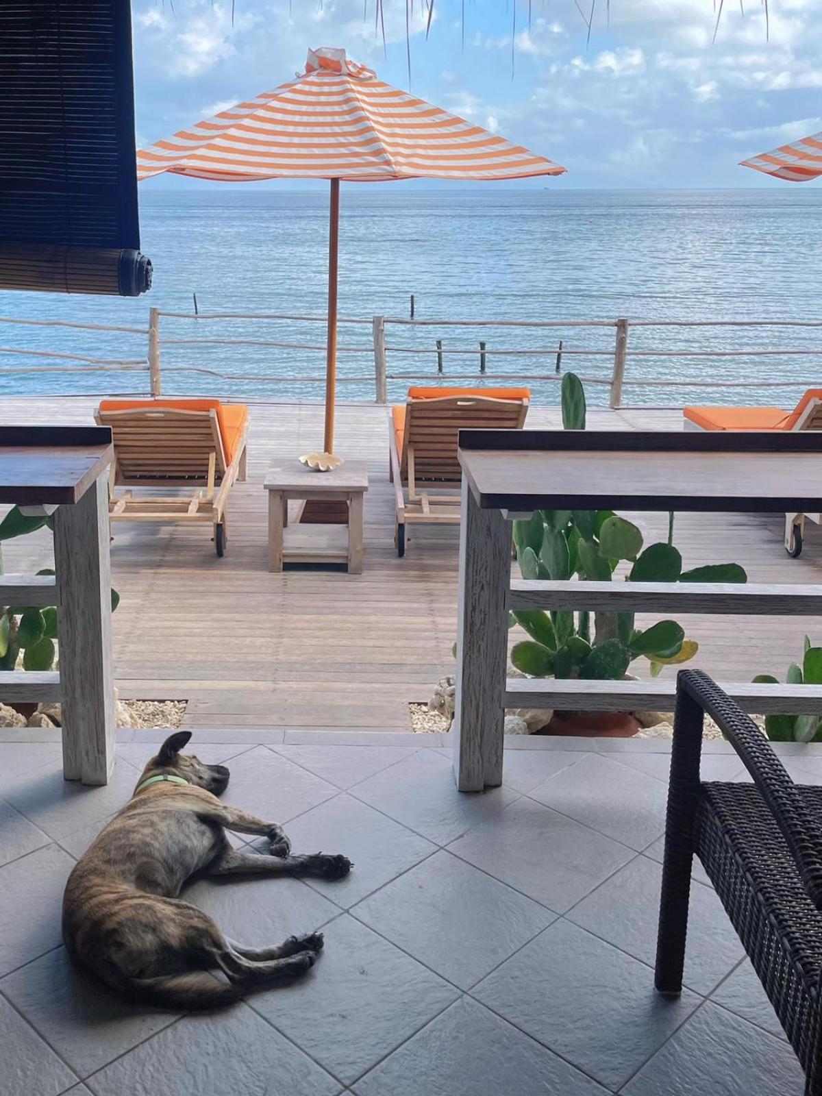 Vns Beachfront Guesthouse Ped Exterior photo